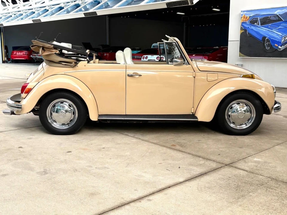 1971 Volkswagen Beetle (1958-1979) - Image 5 of 31