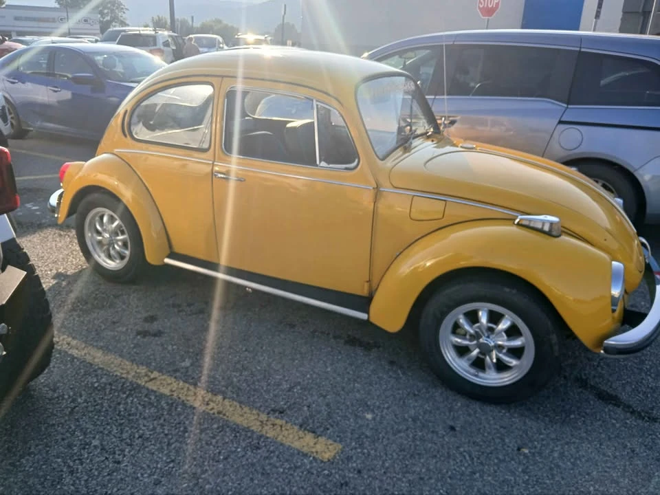 1971 Volkswagen Beetle (1958-1979) - Image 3 of 9