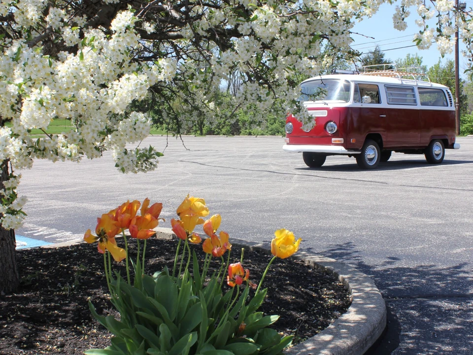 1971 Volkswagen Bay-Window Camper - Image 12 of 31