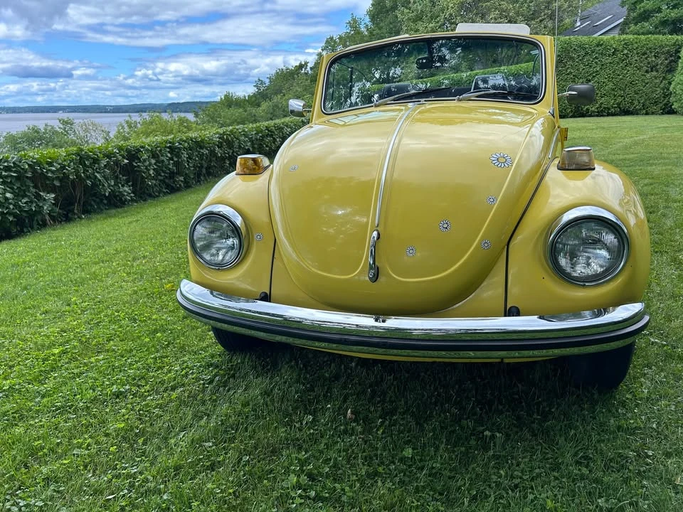 1971 Volkswagen Super Beetle - Image 2 of 11