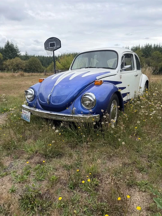 1971 Volkswagen Super Beetle - Image 2 of 20