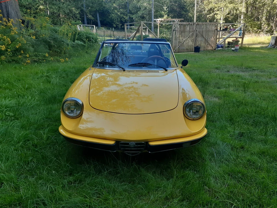 1972 Alfa Romeo Series 2 - Image 3 of 31