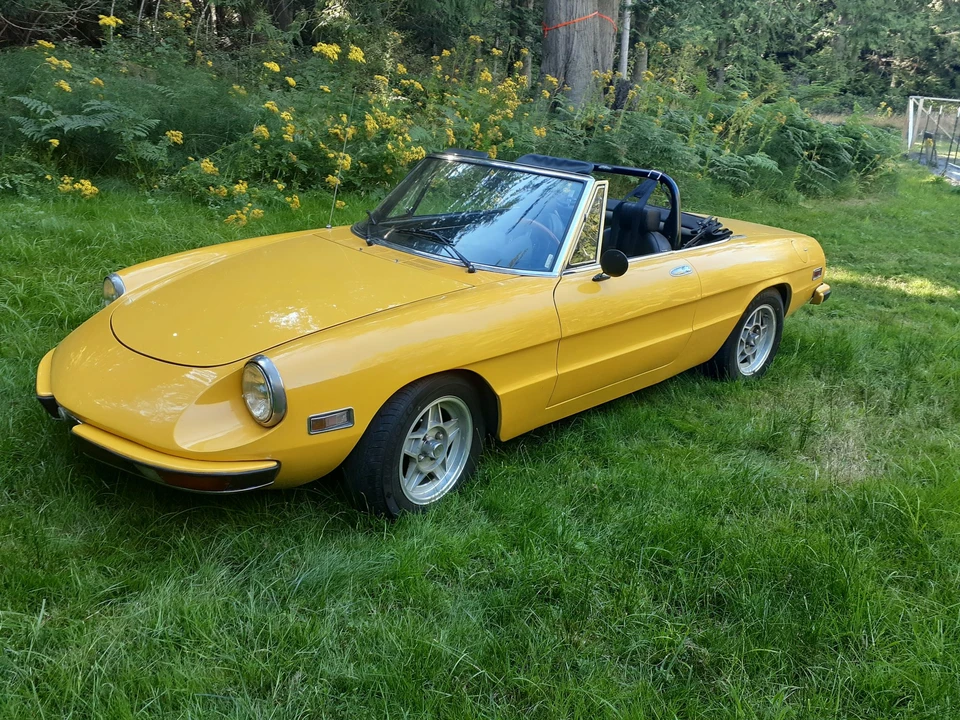 1972 Alfa Romeo Series 2 - Image 5 of 31