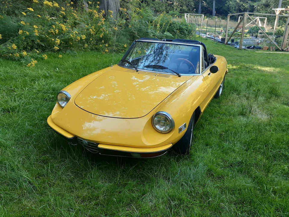 1972 Alfa Romeo Series 2 - Image 4 of 31