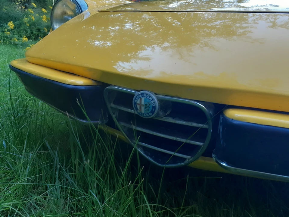 1972 Alfa Romeo Series 2 - Image 16 of 31