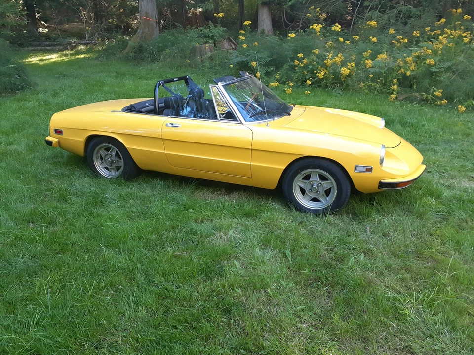 1972 Alfa Romeo Series 2 - Image 11 of 31
