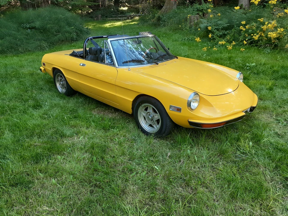 1972 Alfa Romeo Series 2 - Image 12 of 31