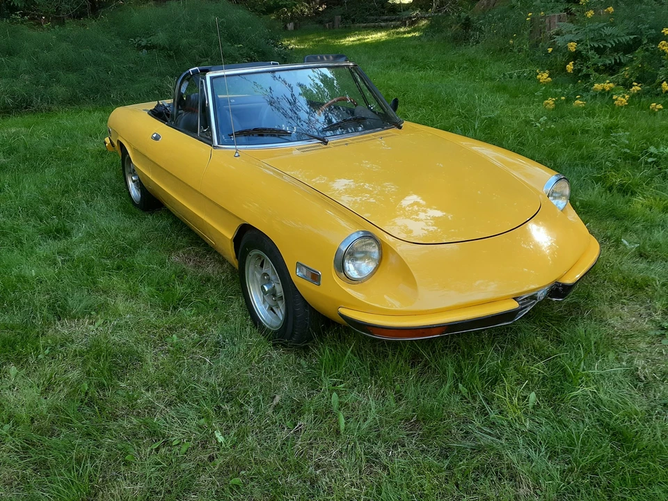 1972 Alfa Romeo Series 2 - Image 2 of 31