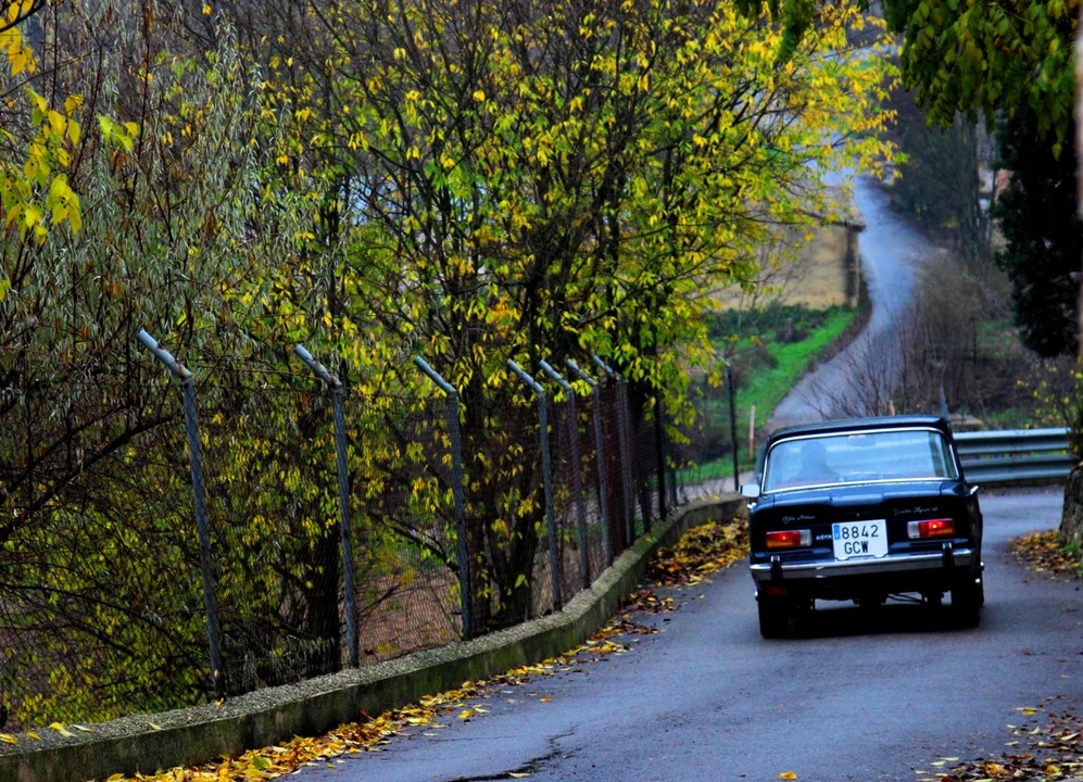 1972 Alfa Romeo GT 1600 Junior - Image 5 of 31