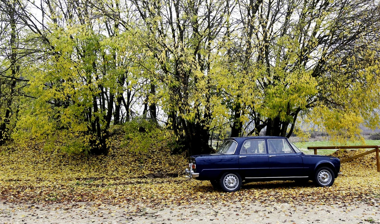 1972 Alfa Romeo GT 1600 Junior - Image 7 of 31