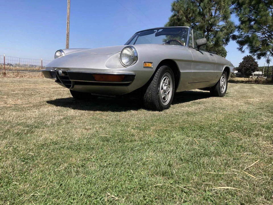 1972 Alfa Romeo Series 2 - Image 13 of 31