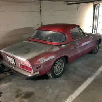 1972 Alfa Romeo Spider