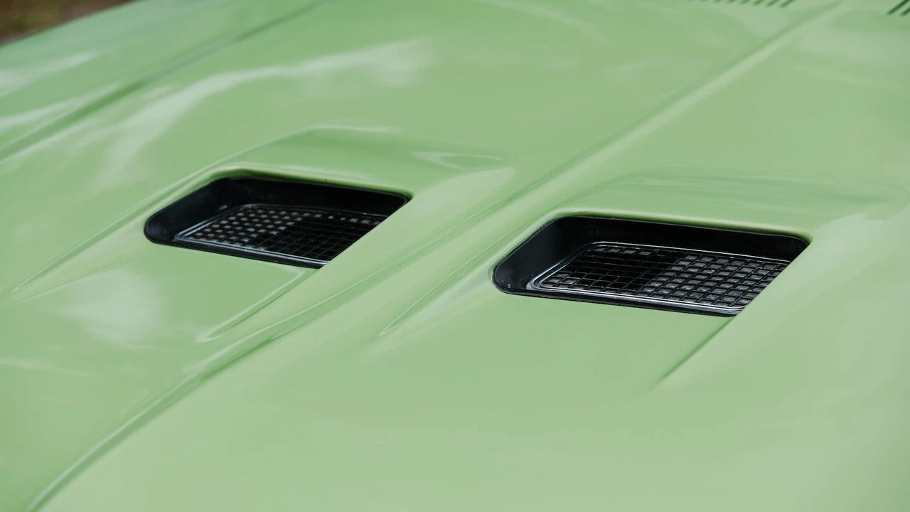 1972 Buick Skylark 3rd Gen - Image 15 of 31