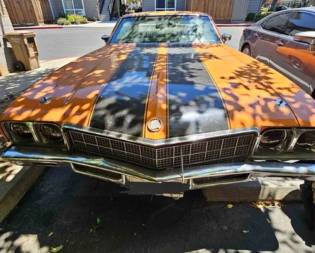 1972 Buick Skylark Coupe 2D