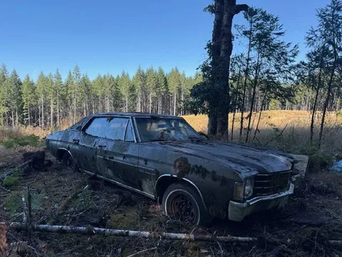 1972 Chevrolet Chevelle Malibu 350 4-Door Sedan