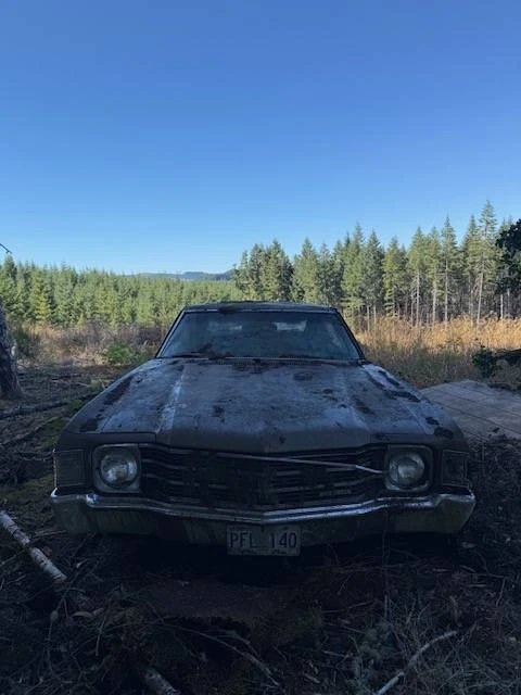 1972 Chevrolet Chevelle 2nd Gen - Image 4 of 6