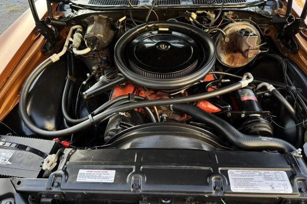 1972 Chevrolet Chevelle SS 2nd Gen - Image 6 of 10