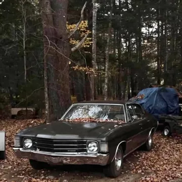 1972 Chevrolet Chevelle Malibu 350
