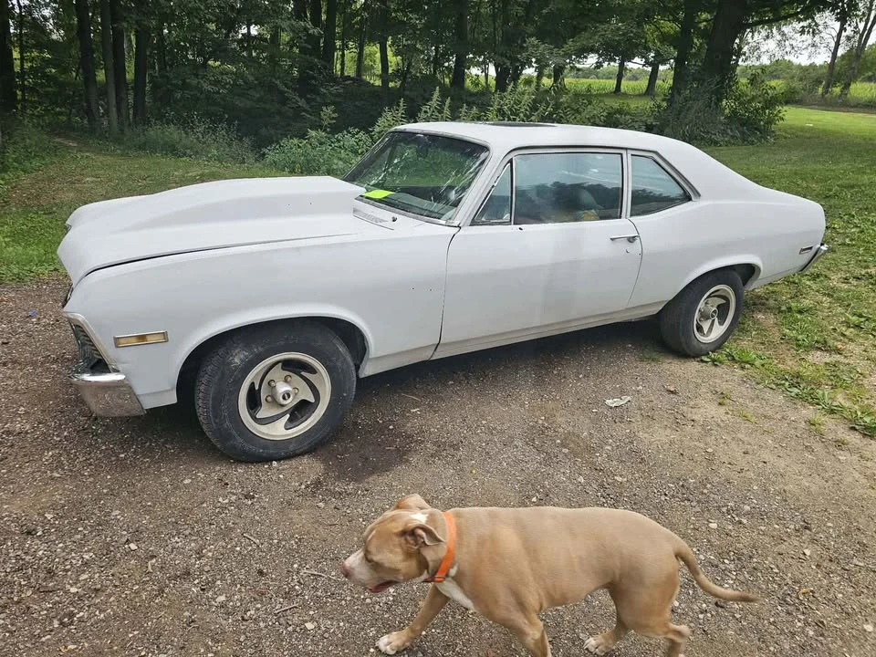 1972 Chevrolet Nova 3rd Gen - Image 3 of 13