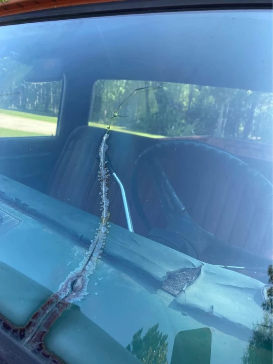 1972 Chevrolet C/K 2nd Gen - Image 14 of 17