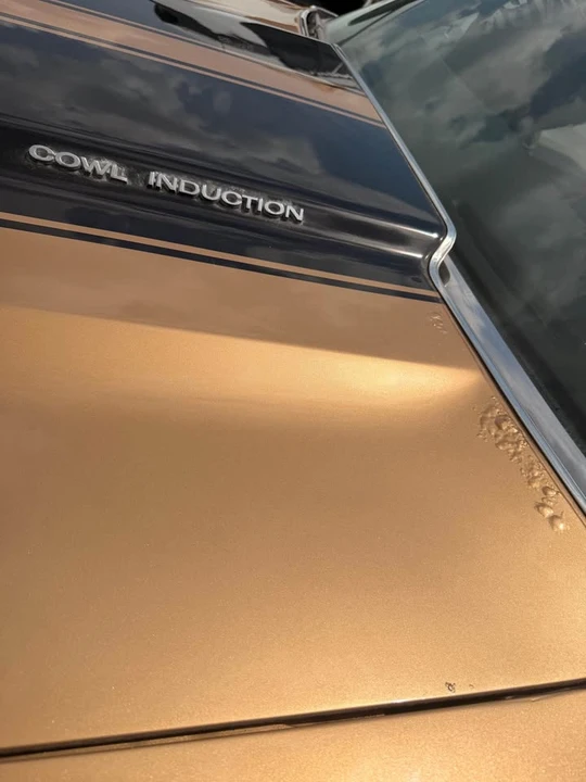 1972 Chevrolet Chevelle 2nd Gen - Image 15 of 19