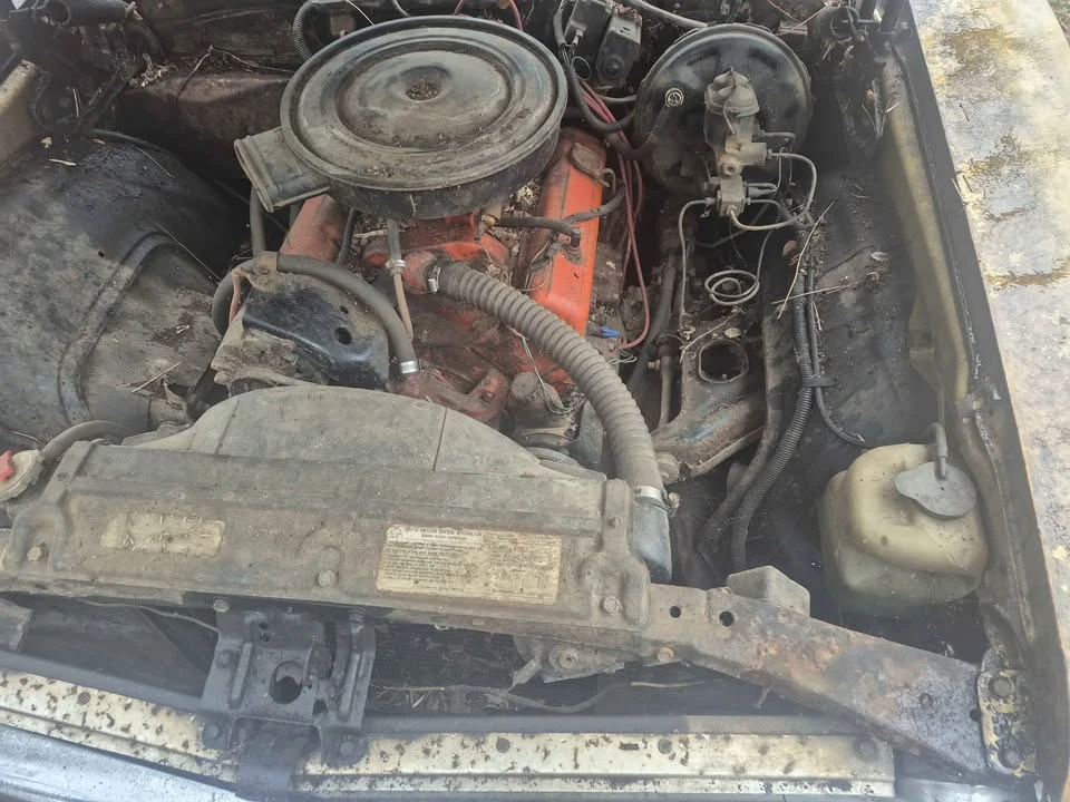 1972 Chevrolet Nova 3rd Gen - Image 3 of 10
