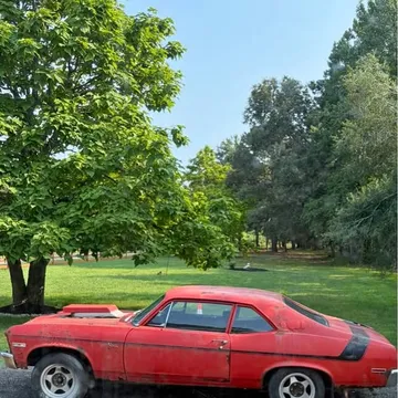 1972 Chevrolet Nova