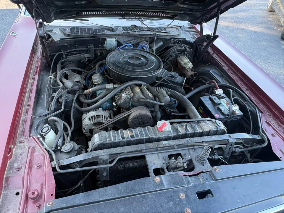 1972 Dodge Challenger 1st Gen - Image 2 of 18
