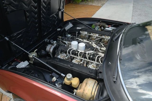 1972 Ferrari 365 GTC/4 - Image 8 of 11