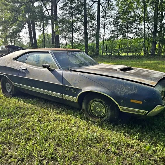 1972 Ford Torino 3rd-4th Gen - Image 1 of 1