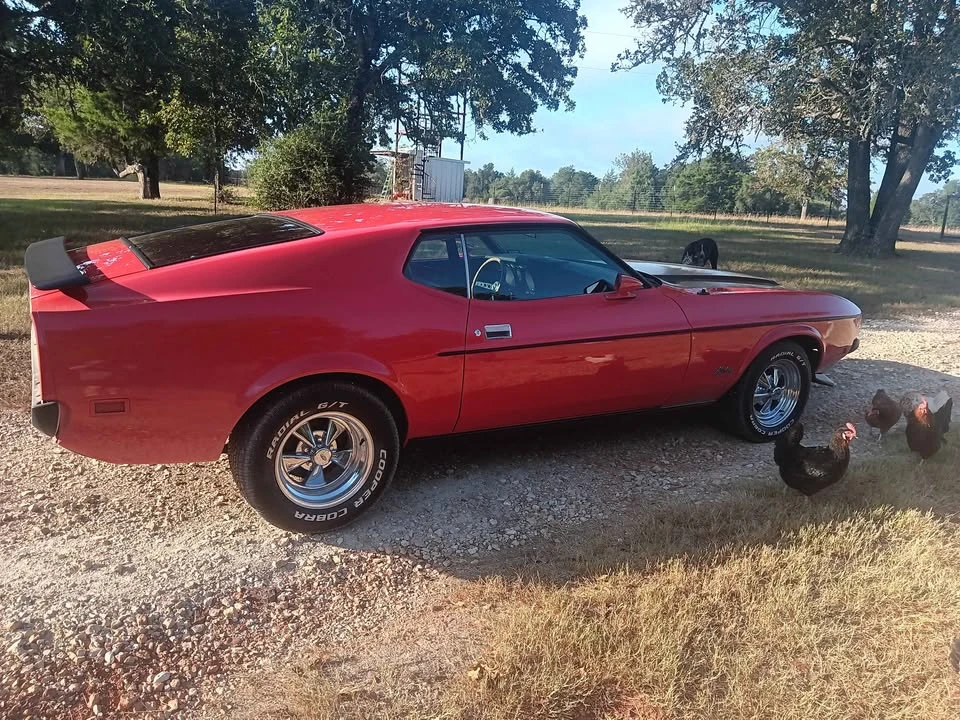 1972 Ford Mustang 1st Gen (1971-1973) - Image 6 of 10