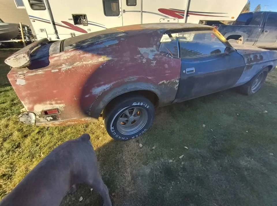 1972 Ford Mustang Mach-E - Image 3 of 7