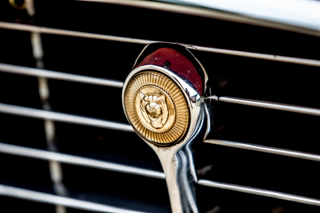 1972 Jaguar E-Type Series 3 V12 - Image 8 of 15