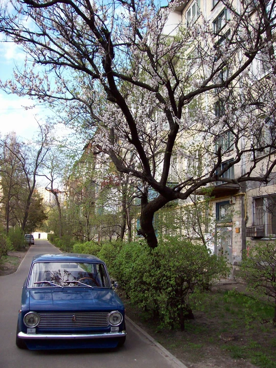 1972 Lada - Image 17 of 31