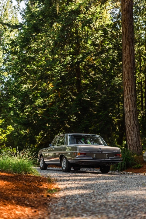 1972 Mercedes-Benz W108 & W109 - Image 10 of 31