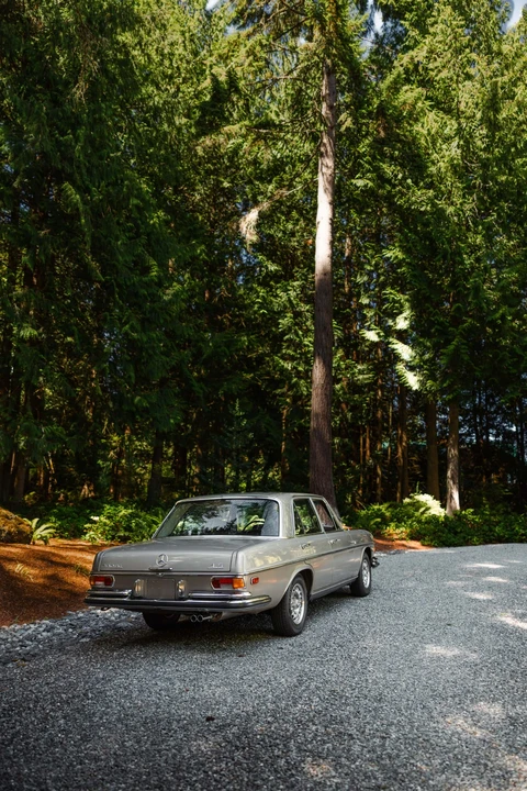 1972 Mercedes-Benz W108 & W109 - Image 15 of 31