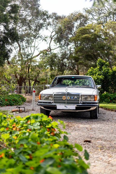 1972 Mercedes-Benz W116 S-Class - Image 14 of 31