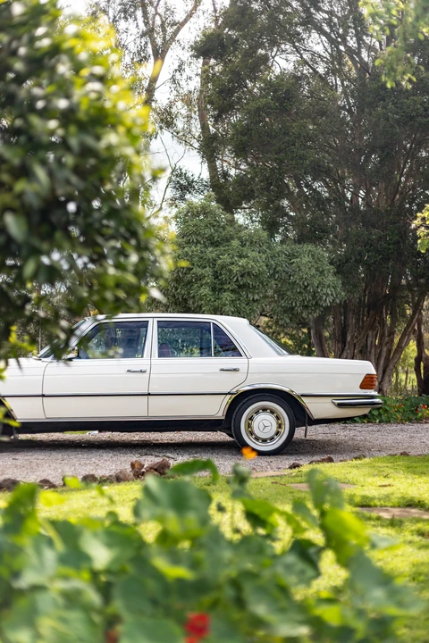 1972 Mercedes-Benz W116 S-Class - Image 16 of 31