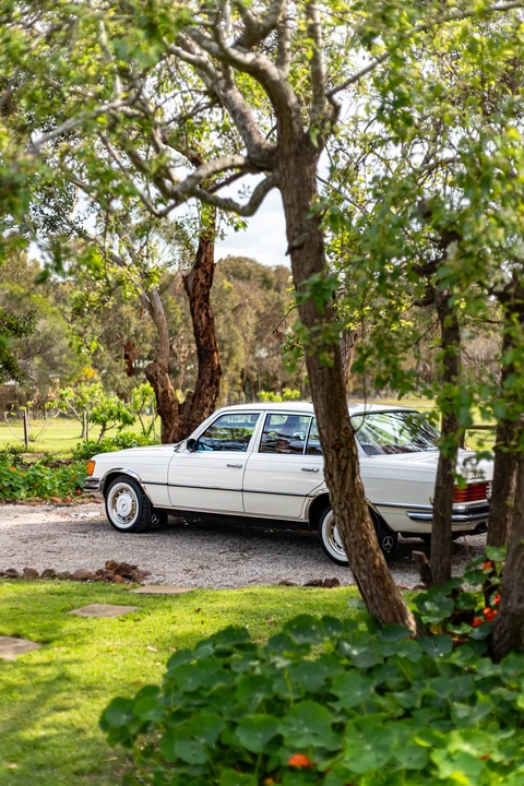 1972 Mercedes-Benz W116 S-Class - Image 17 of 31