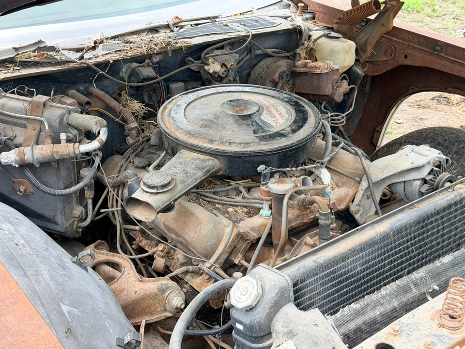 1972 Oldsmobile 88 - Image 19 of 19