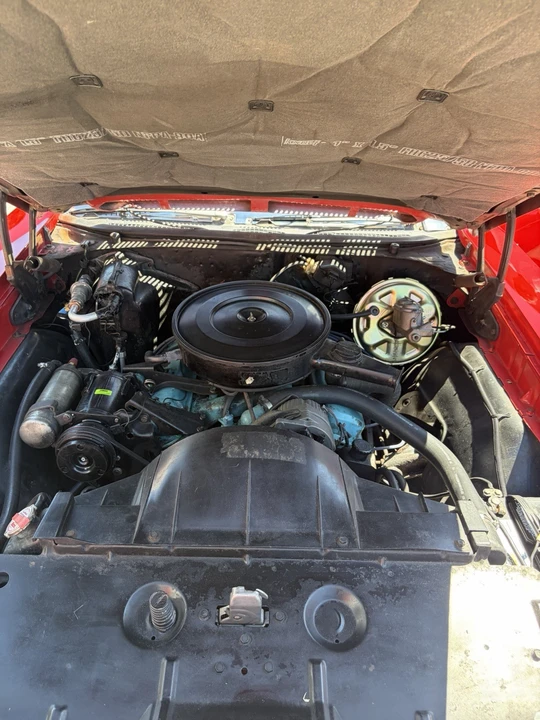 1972 Pontiac LeMans 3rd Gen - Image 14 of 14
