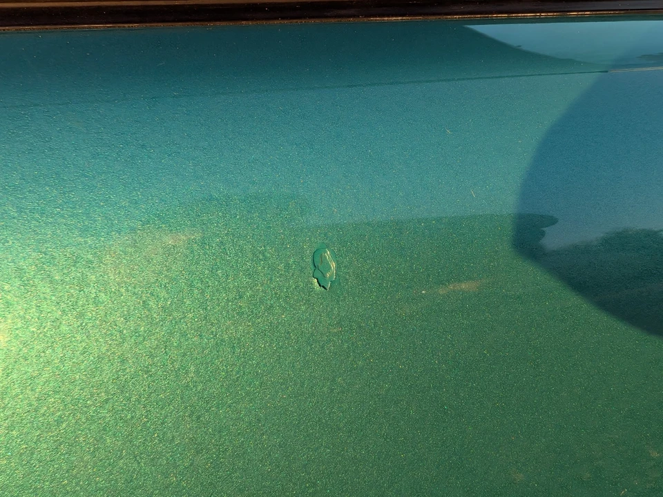 1972 Porsche 914/4 - Image 8 of 21