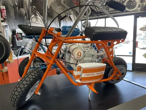 1972 Sears Mango Tango Custom