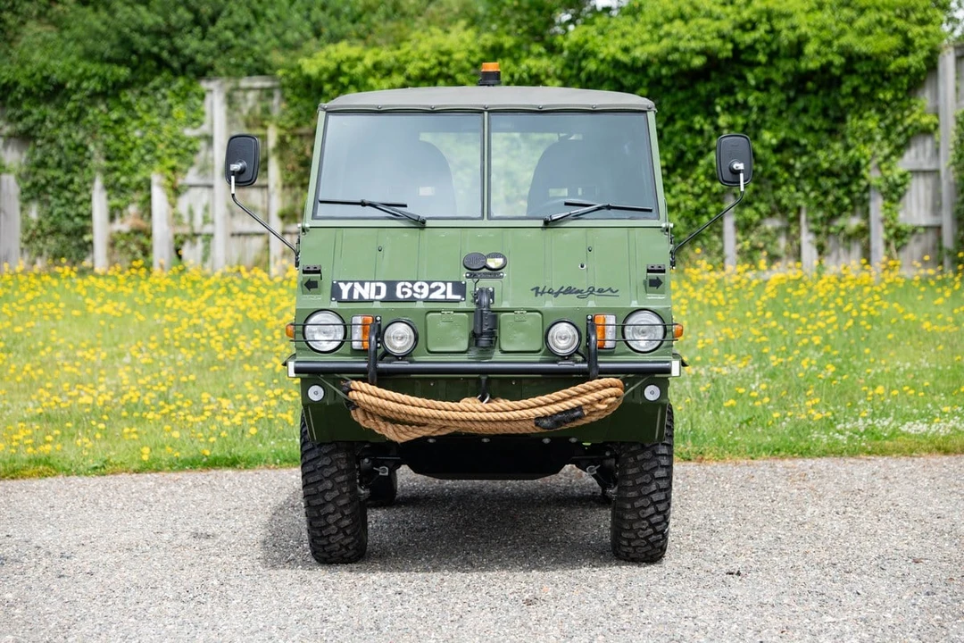 1972 Steyr-Puch Haflinger - Image 22 of 31