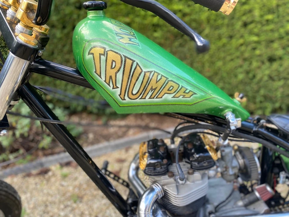 1972 Triumph Tiger (Triumph Engineering) - Image 18 of 30