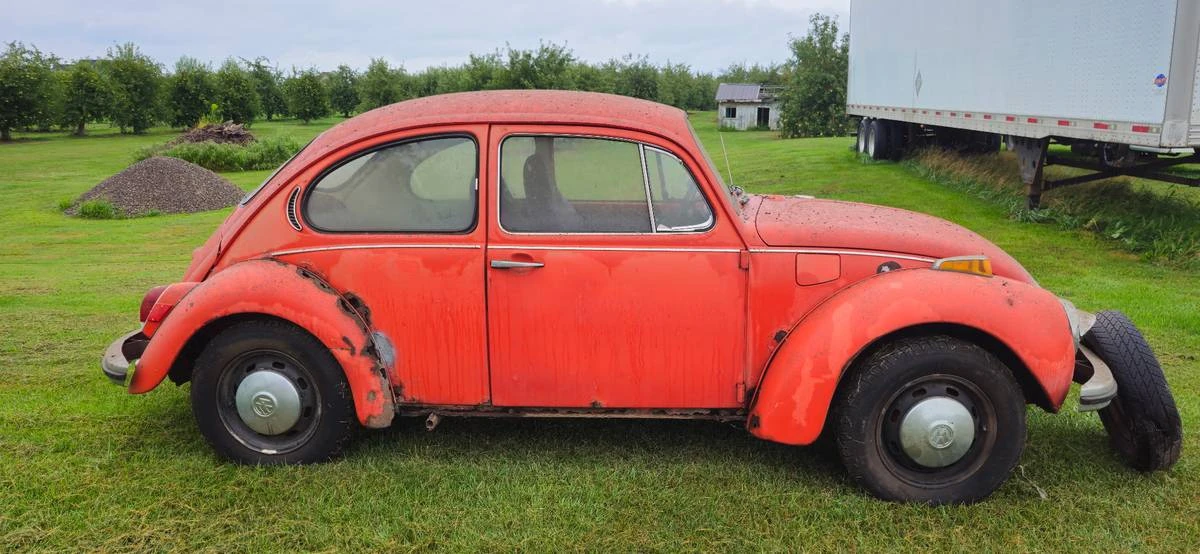 1972 Volkswagen Super Beetle - Image 2 of 8