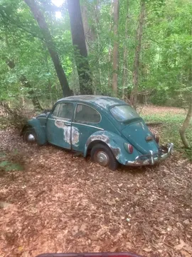 1972 Volkswagen Beetle