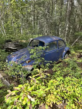 1972 Volkswagen Beetle