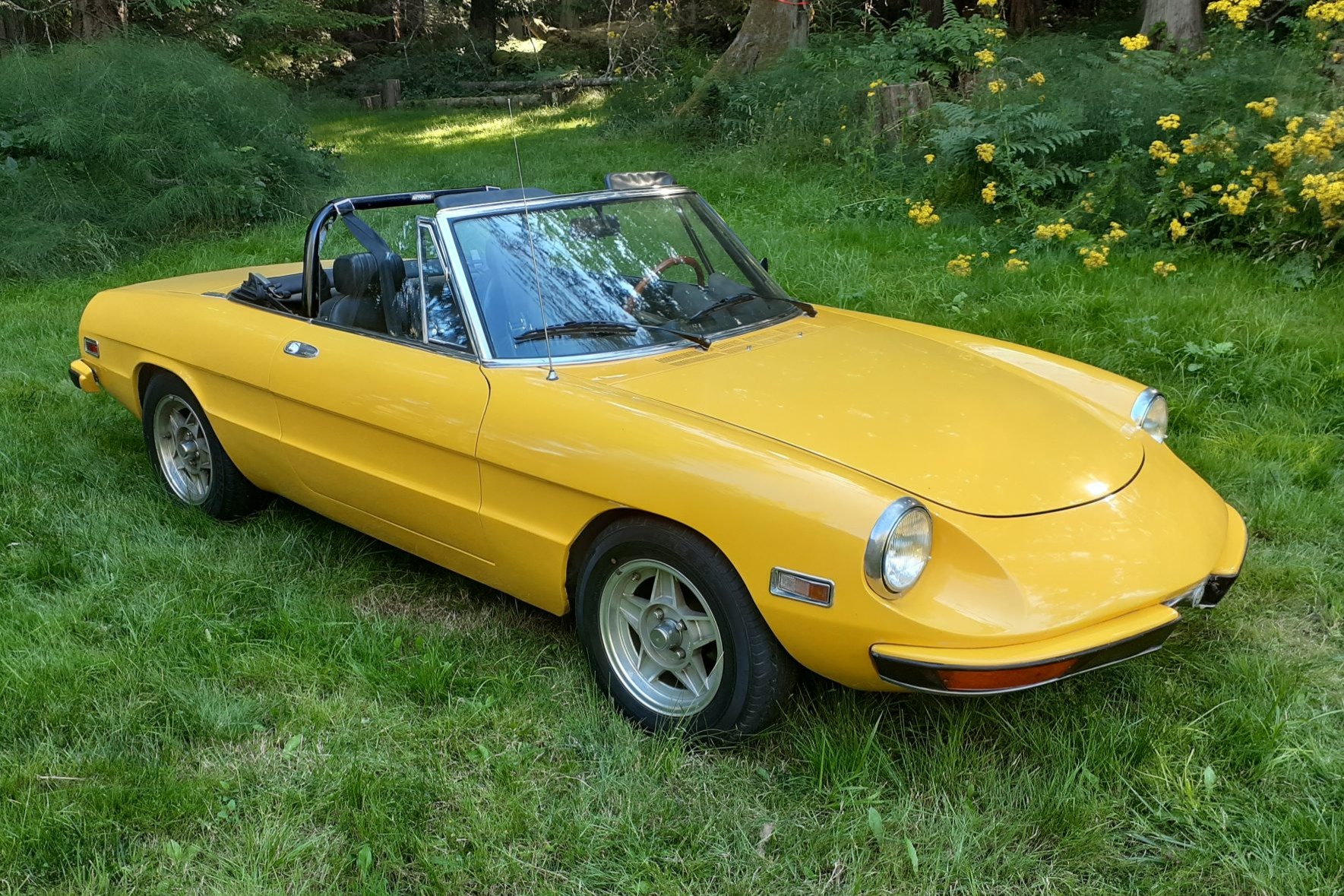1972 Alfa Romeo 2000 Spider Veloce