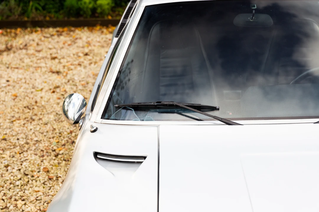 1973 Alpine - Image 30 of 31